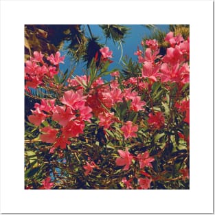 Pretty Pink Flowers Photography design with blue sky nature lovers Posters and Art